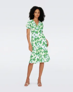 DVFJEMMA DRESS EARTH FLORAL MULTI